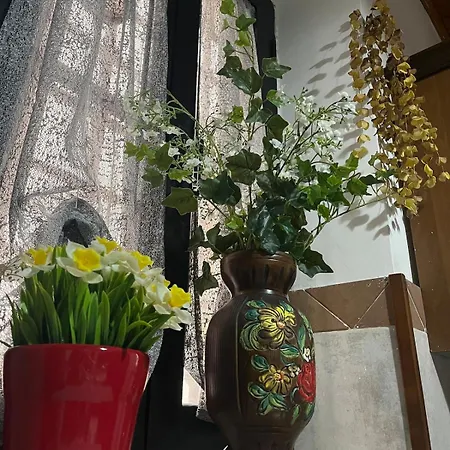 Appartement Rifugio Di Pace - Vista E Cucina Attrezzata